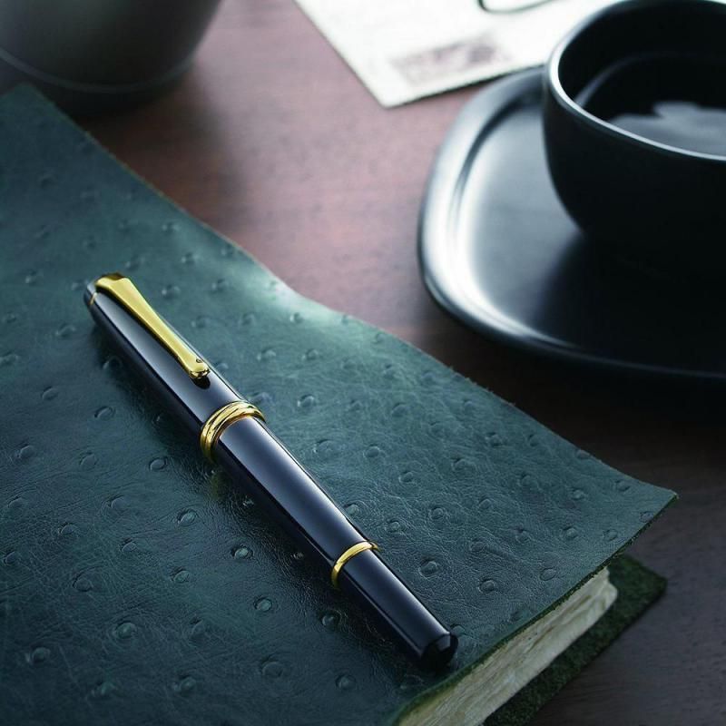 雪琉 くれ竹万年毛筆 夢銀河 黒 DAY140-11 呉竹 - 書道用品、墨、墨液