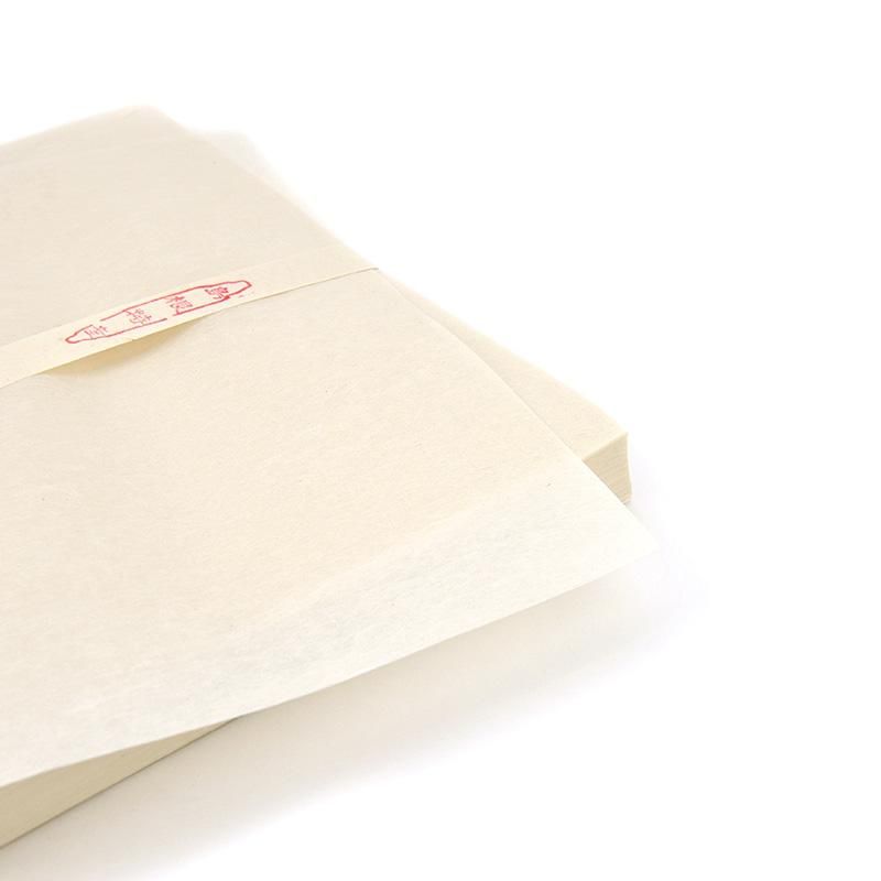 無形文化財記録 工芸技術編 3 手漉和紙 越前奉書・石州半紙・本