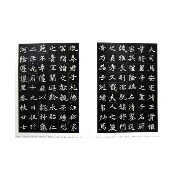 中国法書選 26：墓誌銘集〈下〉 - 書道用品、墨、墨液、紙、筆を卸価格 