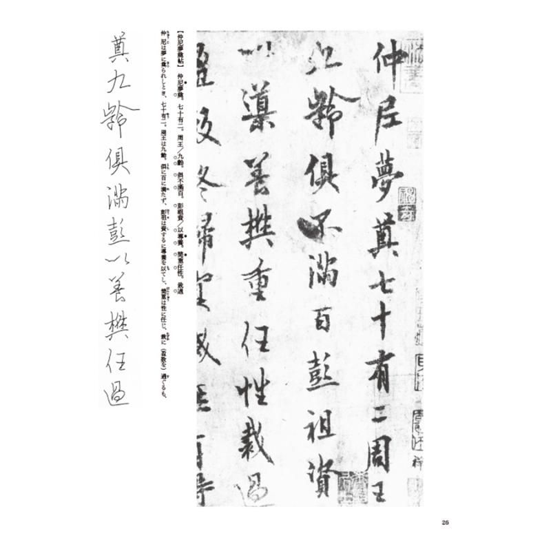 テキストシリーズ 隋唐代の行書草書3 枯樹賦・文皇哀冊(チョ遂良 テキストシリーズ 隋唐代の行書草書3 枯樹賦・文皇哀冊(チョ遂良