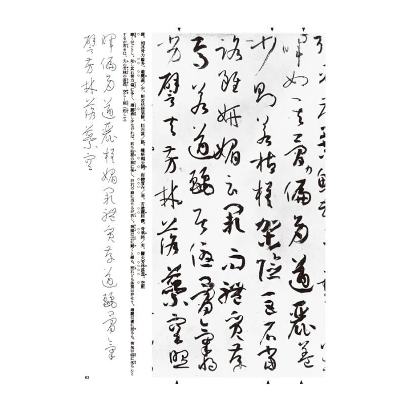 日本人気超絶の 王鐸 草書 行書 白い 条幅 半切 書道 書道字典 行草字典 傅山 書