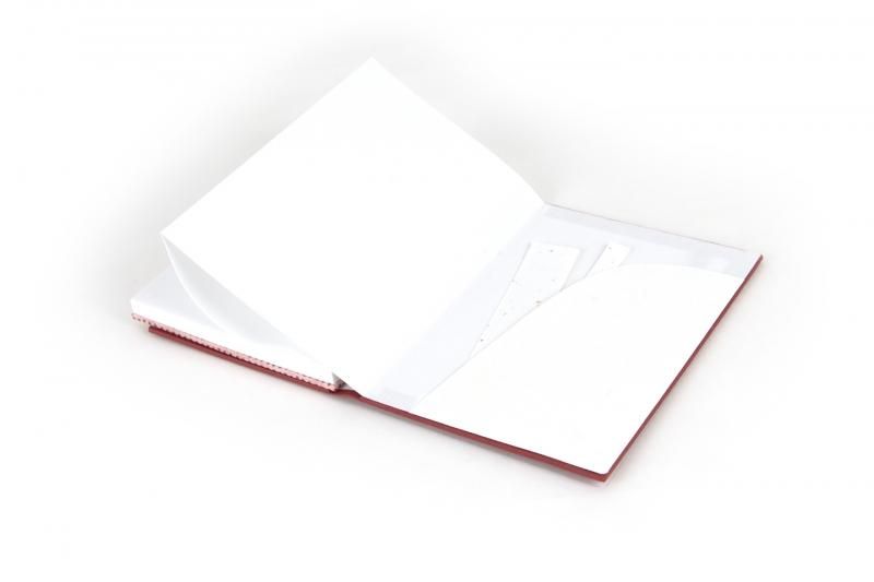 背表紙のついたごしゅいんちょう 艶紅 春光園 - 書道用品、墨