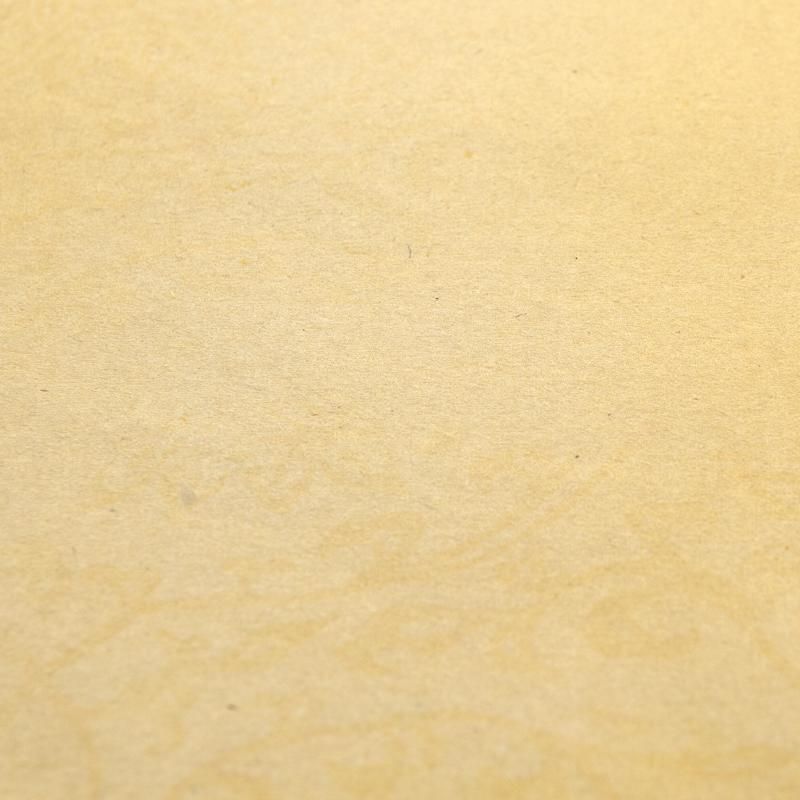 KG204-808_50.jpg?v=1730264562