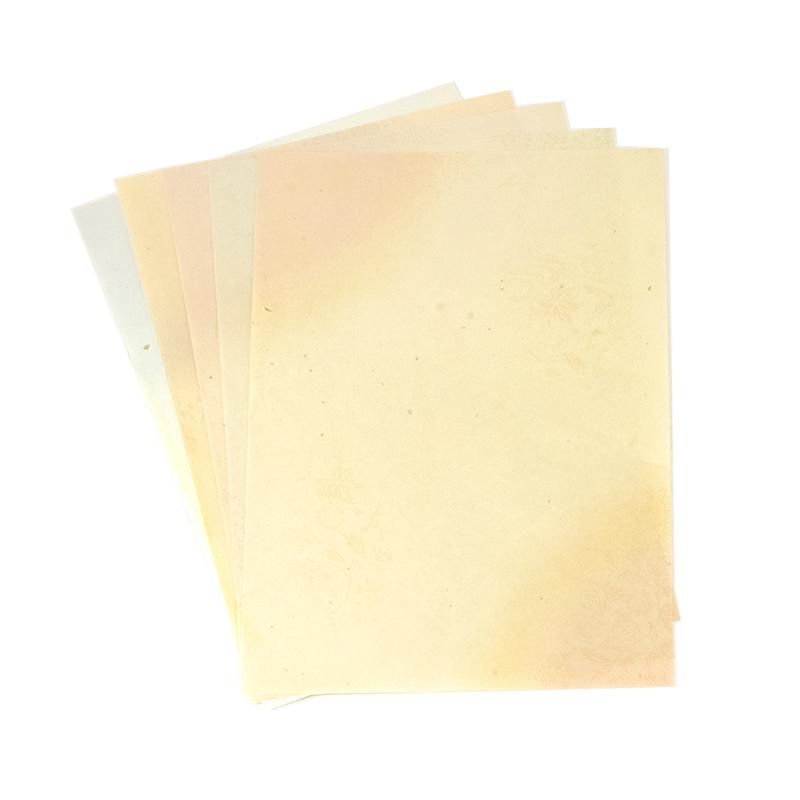 みちくさ 半紙版 5色 / 各10枚入 - 書道用品、墨、墨液、紙、筆を卸