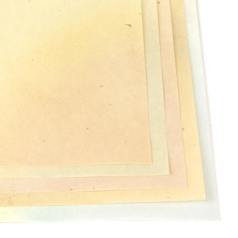 みちくさ 半紙版 5色 / 各10枚入 - 書道用品、墨、墨液、紙、筆を卸