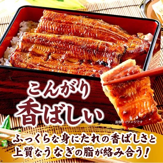 静岡産 国産うなぎ | カット蒲焼き2枚 - 伊豆のお土産｜伊豆・村の駅