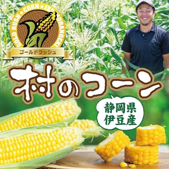 沖縄県産 スイートコーン ゴールドラッシュ 沖縄県産 スイートコーン ゴールドラッシュ - メルカリ