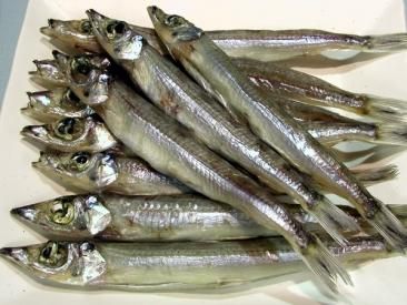 島根県浜田産沖キス丸干し10尾