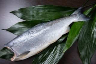 ڥ껺 1Ƭʤ3.0kg