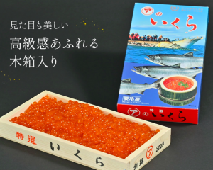ʿʪ Ҥ500g ̳ƻ  20
