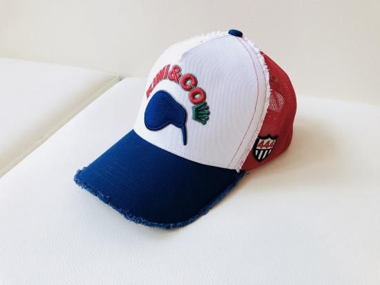 極美品 PALMS&CO. × YOSHINORI KOTAKE ゴルフキャップ YOSHINORI KOTAKE DESIGN for PALMS&CO. キャップ - Palms&co