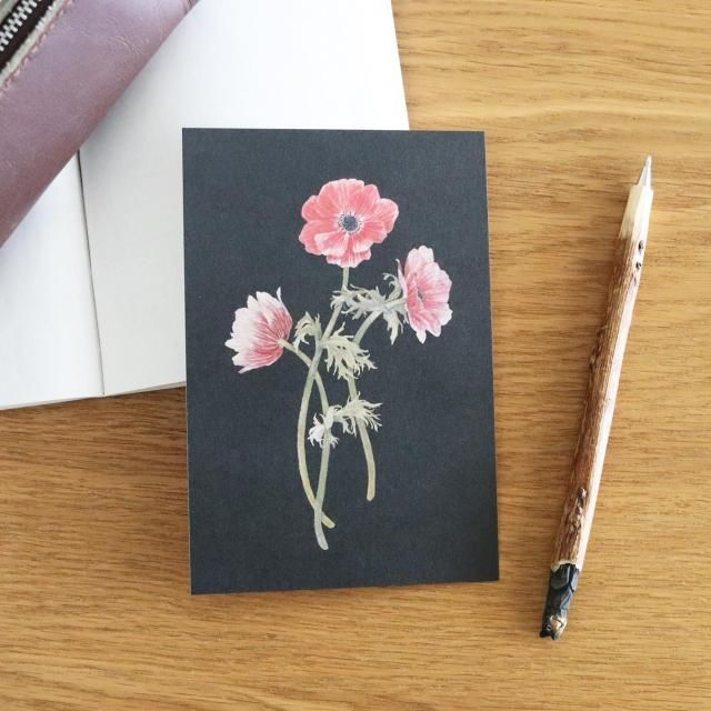 sasaki megumi ポストカード アネモネ - 雑貨屋 青空社 onlineshop