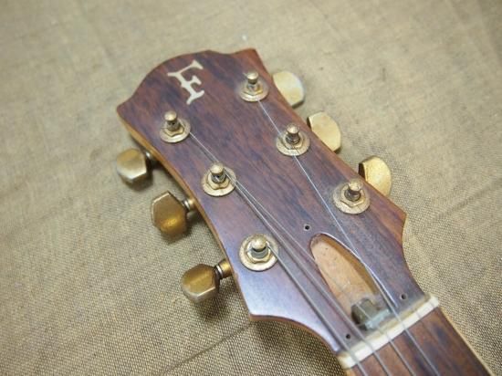 Fernandes MG100X - Geek IN Box