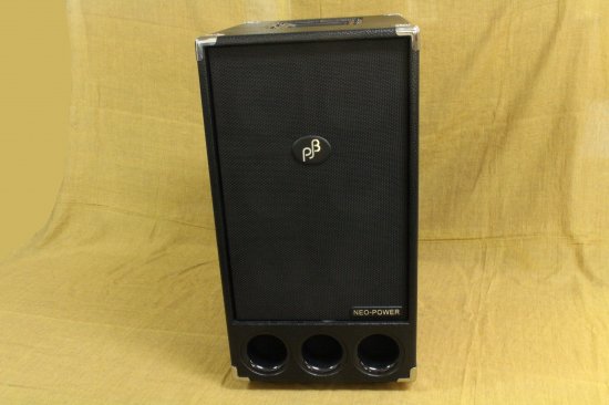 Phil Jones Bass PB-300 - Geek IN Box