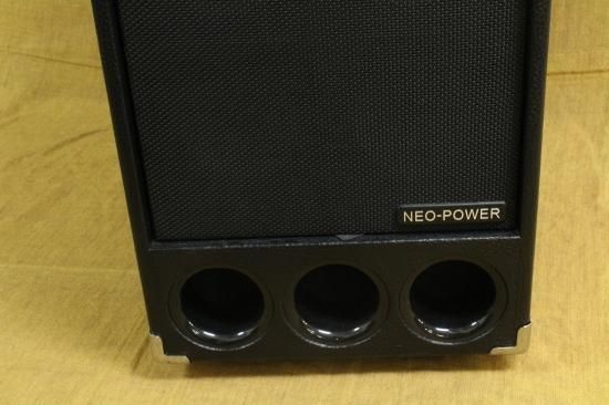 Phil Jones Bass PB-300 - Geek IN Box