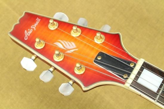 Aria Pro Ⅱ PE-DLX Mod. - Geek IN Box Aria Pro Ⅱ PE-DLX Mod. - Geek IN Box