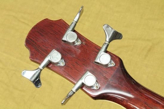 Aria Elecord FEB-DLXN アコースティックエレクトリックベース ARIA FEB-DLXN - Geek IN Box