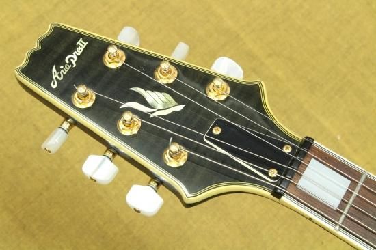 Aria Pro Ⅱ PE-DLX - Geek IN Box Aria Pro Ⅱ PE-DLX - Geek IN Box