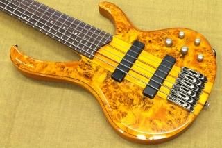 Ibanez - Geek IN Box