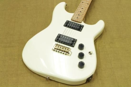 H.S.Anderson Stratocaster Type HH - Geek IN Box