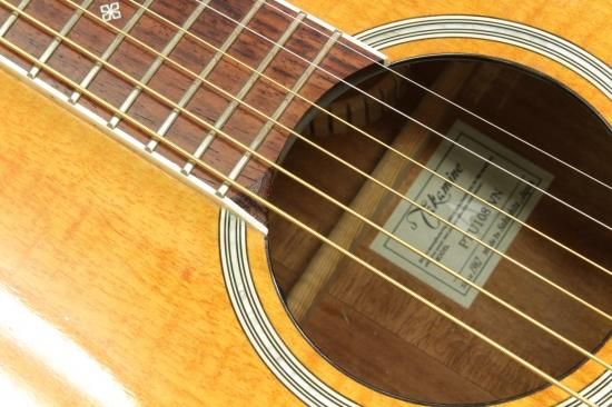 Takamine PTU108 - Geek IN Box