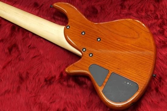 Xotic XB-2 6strings honey burst burl maple top 4.44kg - Geek