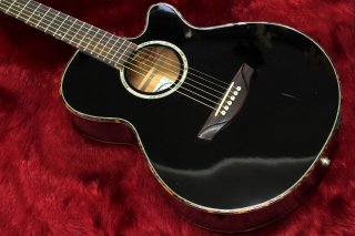 Headway TF-1000C Electric Acoustic Guitar