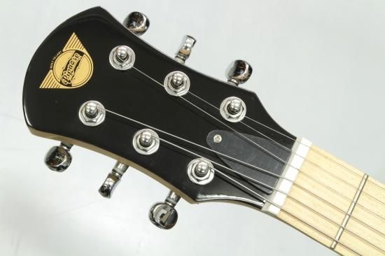 Pignose PGG-200 - Geek IN Box