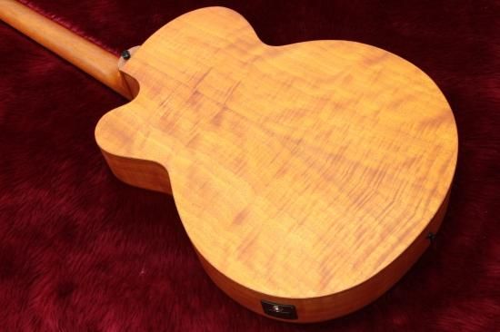 new】ARIA FEB-F2/FL STBR - Geek IN Box