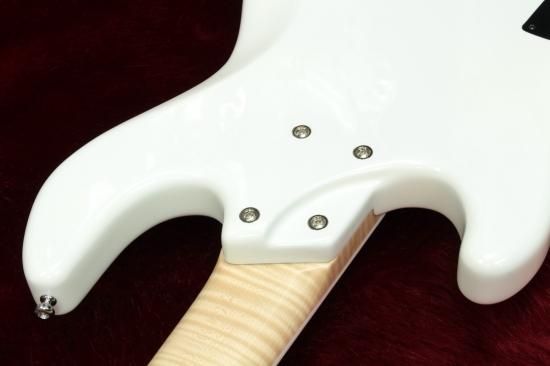 NEW】Torillo Chantico FCV 5strings - Geek IN Box