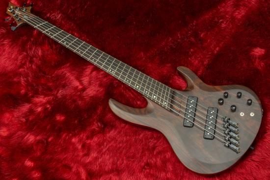 ベース LTD B-1005SE MULTI-SCALE ESP LTD B-1005 Multi-Scale Bass Guitar - Natural Satin