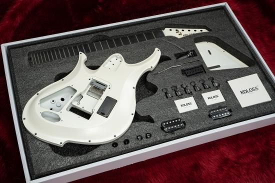 new KOLOSS GUITARS GT 4 DIY KIT WHITE Geek IN Box