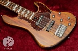 ProCeed ESP☆極上のキルト☆スルーネック☆5弦オーダーメイド品☆