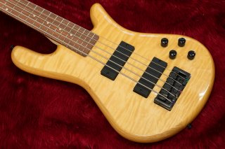 【new】Spector Legend Classic 5 Natural Gloss 【横浜店】