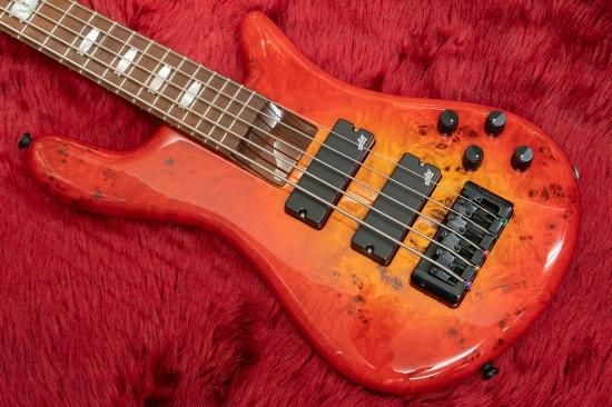 new】Spector / EuroBolt 5 / InfernoRedGross #NB18105 3.71kg【横浜