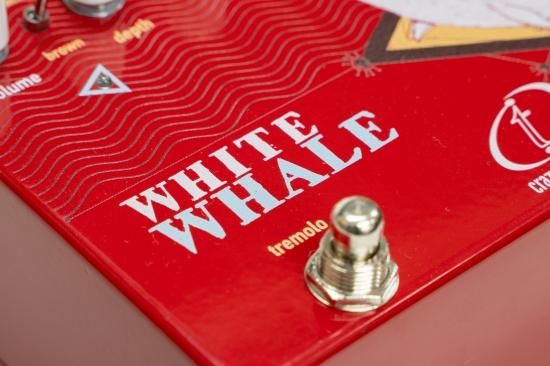 new】Crazy Tube Circuits / WHITE WHALE【横浜店】 - Geek IN Box new】Crazy Tube Circuits / WHITE WHALE【横浜店】 - Geek IN Box