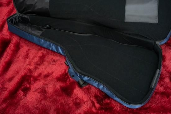 new】Ritter / 2本対応ベース用ギグバッグ RGP-DB NBK【横浜店