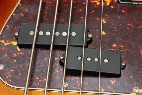 used】Fender / American Professional Precision Bass V #US20044227