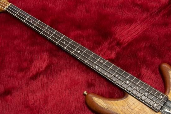 Sugi NIGHT BREEZE NB4 エレキベース NB4 Standard / Basses : Sugi Japan - Sugi Guitars / スギギター