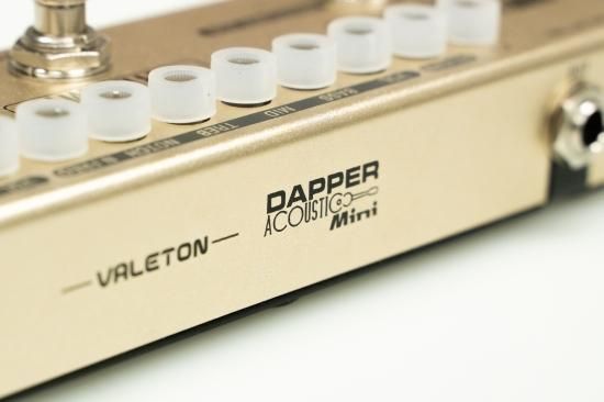 Amazon.com: VALETON Dapper Acoustic Mini Electric-Acoustic