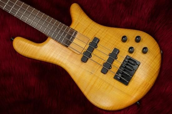 純正取扱店 ベース用ハードケース Warwick Spector | www.ouni.org