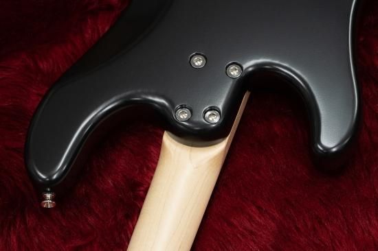 ベース FreedomCustomGuitarResearch Anthra 4st Freedom Custom Guitar Research / Anthra 4st SDB【Test Play