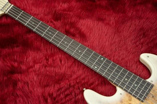 new】Bacchus / WJB5-BP/Act BD-B【GIB兵庫】 - Geek IN Box