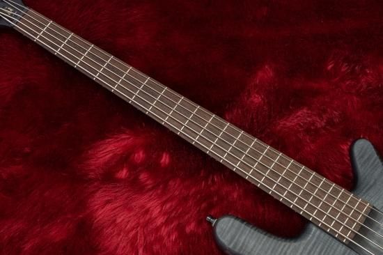 used】Warwick / Team Built Series Streamer Stage1 5st #E