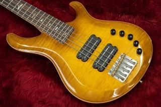 PAUL REED SMITH 5弦ベース ハードケース付き PAUL REED SMITH 5弦ベース ハードケース付き Paul Reed Smith