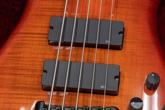 used】Spector / Rebop 5 DLX FM #NB9590 4.03kg【横浜店】 - Geek IN Box