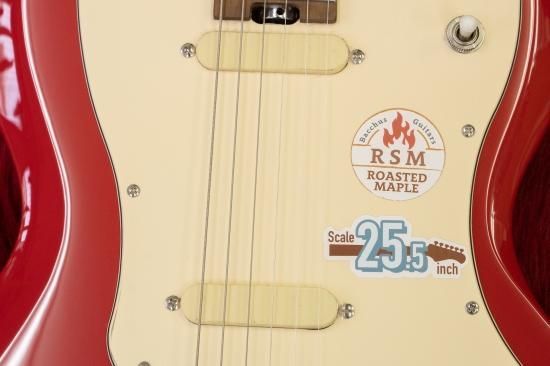 値下げ　BACCHUS BSM-STD/RSM/FR ハードケース別売り new】Bacchus / BSM-STD/RSM FR【横浜店】 - Geek IN Box