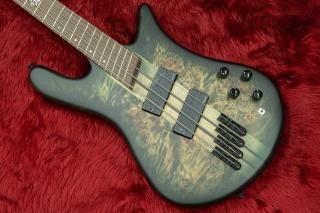 ProCeed ESP☆極上のキルト☆スルーネック☆5弦オーダーメイド品☆日本