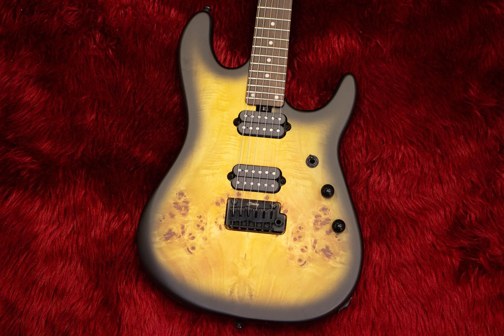 アウトレット特価】Sterling by Musicman / Richardson 6 NPBB