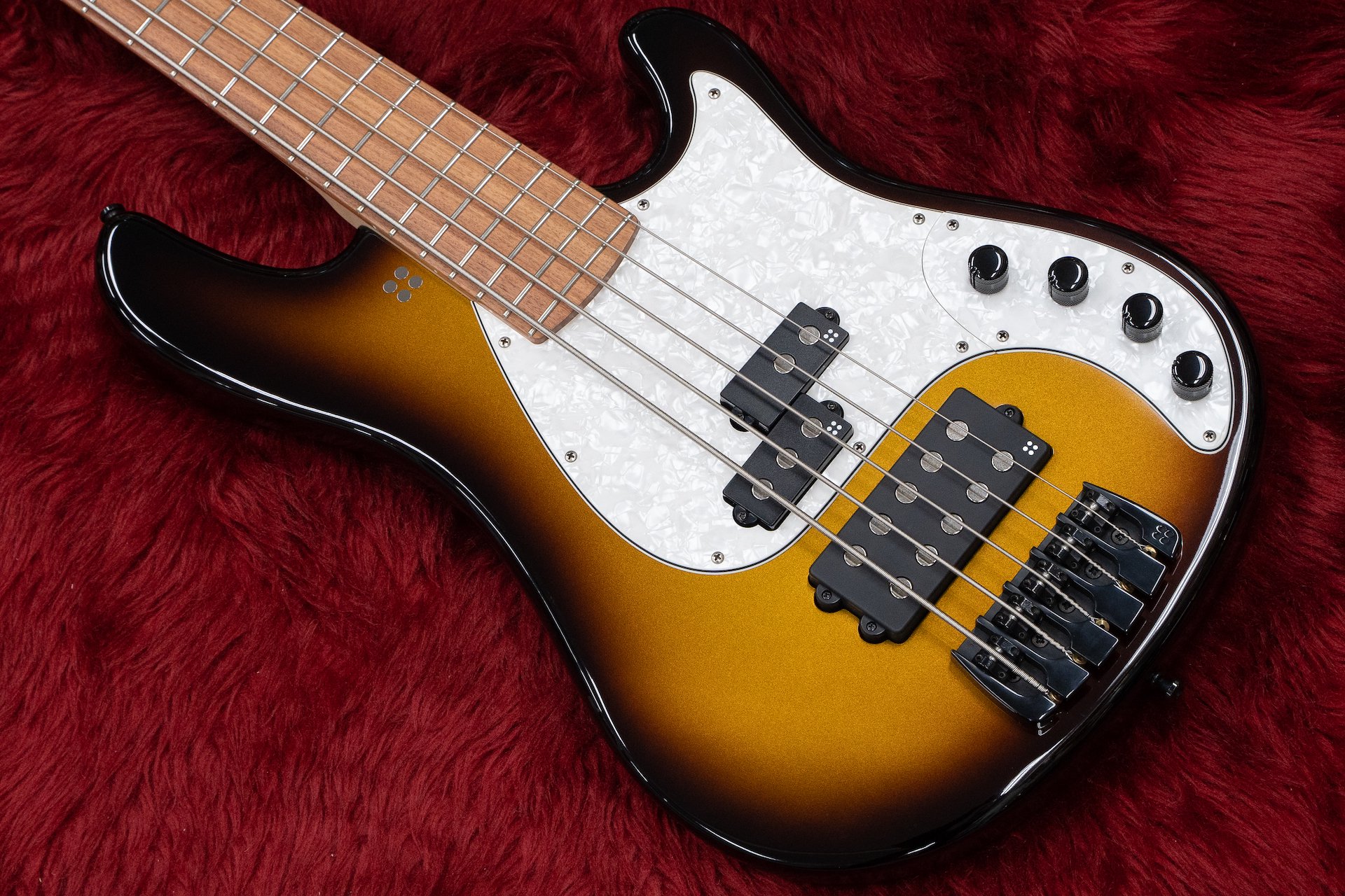 限定製作 SANDBERG SANDBERG BASS BASS ベース ギグバッグ ベース